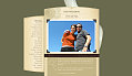 Picture 5 copy